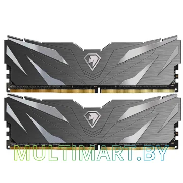 Оперативная память Netac Shadow II Black 2x16GB DDR4 PC4-25600 (NTSWD4P32DP-32K)